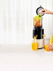 GDANNY | Easy Cleaning Juice Extractor Automatic