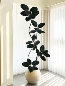 Simulated Ficus Plant Large Decorative Indoor Plant