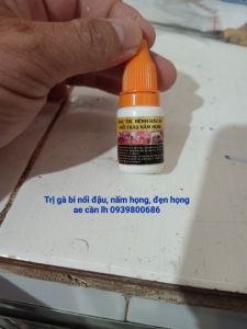 ĐẸN HỌNG TRÁI ĐẬU NẤM HỌNG