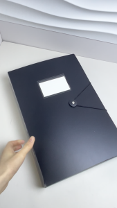 File Folder Box A4/Long Bond Paper Organizer Document Box File Organizer Paper Storage Box School Office Supplies