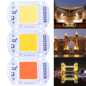 50W LEDs Floodlights COB Chip 220V Input Integrated Smart IC Driver