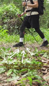 Gậy Leo Núi Hợp Kim Nhôm siêu nhẹ 230g gấp gọn 30cm tiện lợi đem theo đi dã ngoại trekking phượt - Hãng dododios