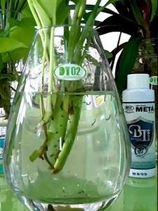 Dung dịch BTI diệt lăng quăng bọ gậy 100ml thành phần tự nhiên an toàn cho người và cá