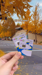 Sim/Esim 4G Du Lịch Hàn Quốc – Bật Mạng Là Có Sóng – Phù Hợp Du Lịch Tự Túc Tour Đi Công Tác – Dùng Ổn Định Mọi Khu Vực . FREESHIP - CHƯA KÍCH HOẠT