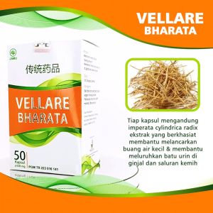 Obat Batu Ginjal Batu Empedu Kencing Batu Herbal Vellare Bharata 100% Asli