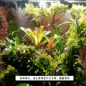 💖READY STOCK💖Automatic Mist Spray System Reptile Humidifier LCD Screen Sprinkler Control Watering Timer Nozzle