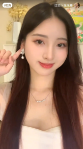 Butterfly Dream Long Temperament Tassel Earrings Womens High-End Niche Design Earrings