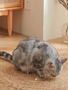 Large Size Cat Scratching Board Wear Resistant Natural Rattan Integrated Cat Bed No Shedding Durable Cat Toy for Large Cats