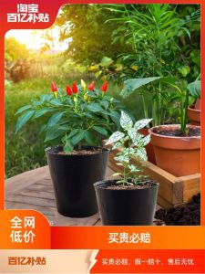 How to Utilize Plastic Flower Pot Nursery Basins & Feeding Blocks