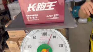 Ắc quy xe máy điện TIANNENG 6-DZF-23L ( 12V 23Ah) / Ắc quy Thiên Năng ( 天能 ) dòng cao cấp nặng cân