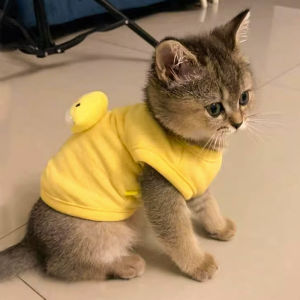 Warm Vest for Kittens And Puppies Pet Clothing All Seasons Universal Breed Suitable Pet Supplies Cat Clothes Pet Food Accessories