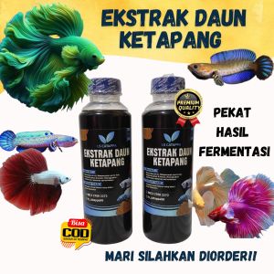 Ekatrak Daun Ketapang Laut Pekat Fermentasi Alami Premium 250ml