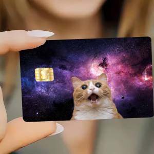 Cat Meme Funny Bank Debit Decorative Protection Bus Subway Credit Card Stickers