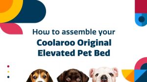 COOLAROO Elevated Pet Bed Extra Large size. (AUTHENTIC LOCAL DISTRIBUTOR)