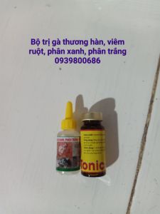 THƯƠNG HÀN VIÊM RUỘT PHÂN XANH PHÂN TRẮNG