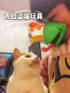 Interactive Pet Toys Cat Teaser Stick Dog Toys Consuming Physical Energy Playing Toys Interactive Fun Pet Supplies Cat Toys