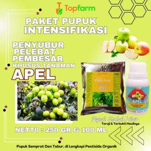 Pupuk Untuk Pohon Apel: Cara Meningkatkan Produksi Buah