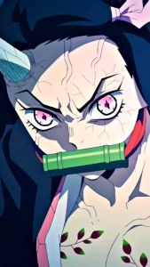 KIZARU Kaos Anime Demon Slayer Kimetsu No Yaiba NEZUKO KAMADO 3D