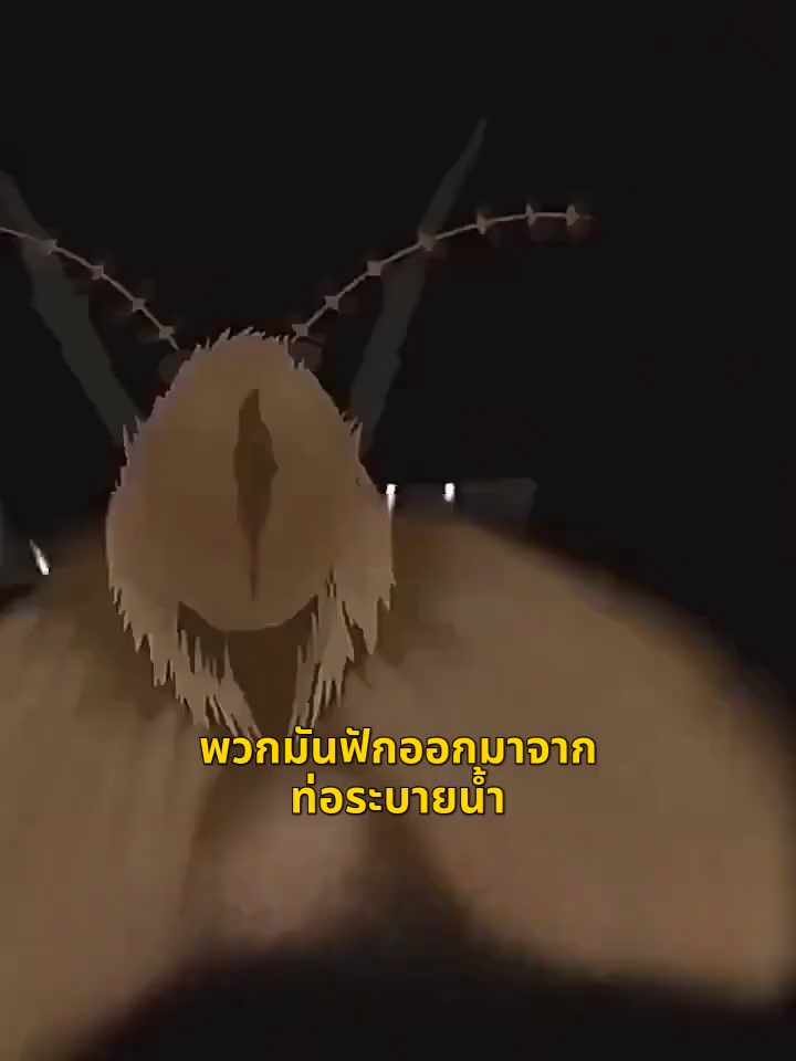 ยาฆ่าแมลงในท่อระบายน้ำ 500ml น้ำยากำจัดแมลง สารกําจัดศัตรูพืชท่อระบายน้ํา ที่ดับกลิ่นห้องน้ํา กําจัดแมลงสาบ สารกำจัดแมลง