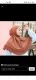Zakia Hijab