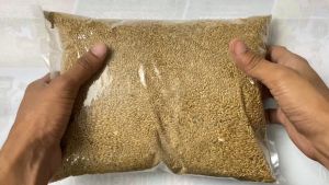 RED MILLET (1KG REPACKED)