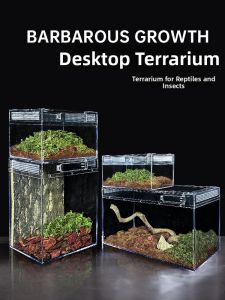 BARBAROUS GROWTH | Ecological Rainforest Landscape Breeding Box