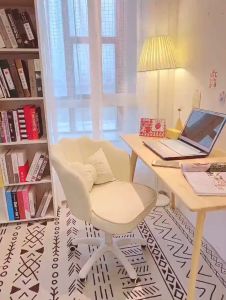 เก้าอี้ เก้าอี้แถมหมอน เก้าอี้แต่งหน้า ผ้ากำมะยี่ เก้าอีห้องนอน เก้าอี้ทำเล็บ เก้าอี้ทำงานตกแต่งร้านอาหาร ร้านกาแฟ แถมหมอนฟรี