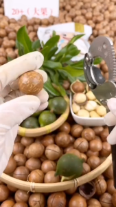 แมคคาเดเมีย แมคคา ขนาด 500กรัม/250กรัม/100กรัม อร่อย  พร้อมทาน