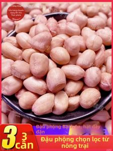 Shell Removed Peanuts