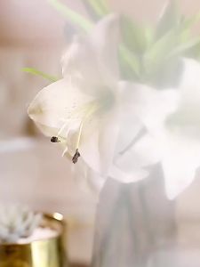 Thùng Rác Nắp Lớn Sang Trọng