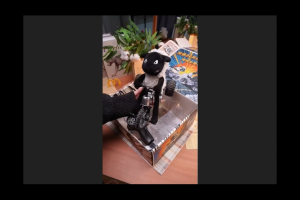 RC Crazy Little Sheep “Dark Horse” 2.4GHz RWD