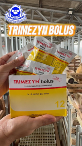 TRIMEZYN 12 BOLUS pengobatan pernafasan dan pencernaan hewan sapi kambing domba babi dll MEDION