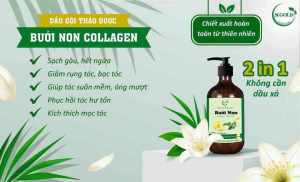 dầu gội BƯỞI NON collagen -Nano Bạc