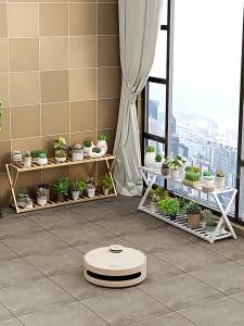 Indoor Multilayer Flower Pot Stand