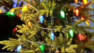 LOLO HOME ไฟกระพริบ LED ยาว 5 เมตร ไฟตกแต่งประดับสวน ไฟแต่งห้อง ไฟแต่ร้าน กระพริบได้/นิ่งได้ ปรับโหมดได้ 8 แบบ ไฟลำไย/ไฟบัวตูม/ไฟดาวเกร็ด