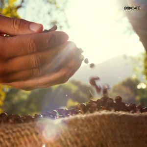 1 kg x Boncafe กาแฟคั่วบด บอนกาแฟ มอคค่า เคเทอริ่ง (ชนิดบด) อราบิก้าผสมโรบัสต้า คั่วกลาง Boncafe Mocca Catering Ground