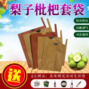 ถุงคลุมผลไม้สำหรับมังกร มะนาว แอปเปิ้ล มะพร้าว มะละกอ ถุงคลุมผลไม้เฉพาะทางสำหรับชาวสวนผลไม้