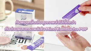 MIND KOMBUCHA POP Probiotics Plus ผงคอมบูชะ และ โพรไบโอติก ขนาด14 กรัม 7 ซอง พกพาสะดวก อร่อย สดชื่น แคลอรี่ต่ำ ไม่เติมน้ำตาล