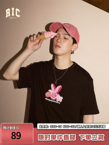 Rickyisclown Rabbit Pattern Heavy Weight Whirlpool Rabbit Toothbrush Embroidery Pixel Short Sleeve T-shirt Top Men and Women Couple