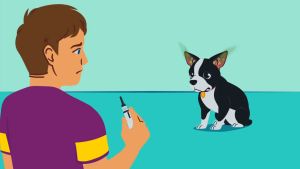 ZYMOX Shampoo แชมพูสำหรับโรคผิวหนัง เชื้อรา ยีสต์ แบคทีเรีย คัน ผิวหนัง สัตว์ทุกชนิด ทุกช่วงอายุ