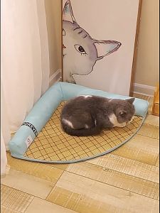 (GOT STAIN) Tatami Pet Bed / Cat Summer Mat / Removable Washable/ Sofa Mat Pet