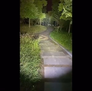 P50 Telescopic Zoom LED Flashlight Tahan Air USB Rechargeable for Camping