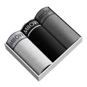 MiiOW | Mens Cotton Underwear Breathable Boxer Shorts Antibacterial Comfortable Mid Waist Briefs Youth Suitable Summer New Style MiiOW