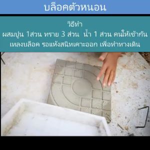 แม่พิมพ์หล่อปูน แม่พิมพ์ทําทางเดิน DIY หล่อคอนกรีต แม่พิมพ์ทางเดินlazada ลายบานชื่น ขนาด25x25x5cm