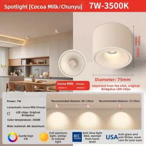 FANYAO | Ceiling Mounted LED Light No Drilling Latex Paint Color Vintage Style