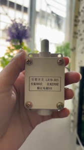 LIMIT SWITCH LX19-001 PLUNGER MOMENTARY LIMIT SWITCH 1NC 1NO