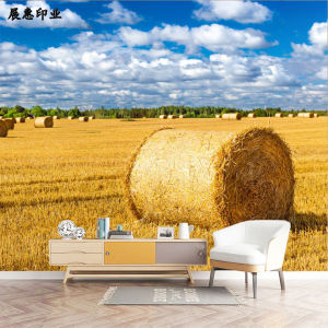 8D ภาพวาดฝาผนัง ภาพทิวทัศน์ฤดูใบไม้ร่วง ภาพวาดฝาผนังสไตล์ย้อนยุคแบบยุโรป ภาพพื้นห้องนั่งเล่น วัสดุ PVC ป้องกันน้ำ