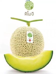 เมล่อน คิโมจิ Japan Melon Kimoji 50 เมล็ด แหล่งผลิต ประเทศญี่ปุ่น เปอร์เซนต์การงอก 80-90%