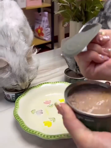Nature Magic Hip & Joint Supplement Wet Food for Cat Zero Added Weight Management Formula High Meat NewZealand Sourced Ingredients Support and Strong Leg & Bone Same Facility as K9 ZIWI Zeal