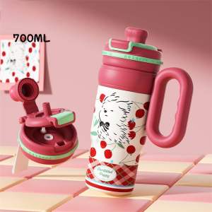 แก้วน้ำเก็บความเย็น 2 in 1 ใช้ได้ทั้งหลอดดูด & ยกดื่ม ขนาด 700 ml. มีมือจับในตัว กันน้ำหกได้ 💯%